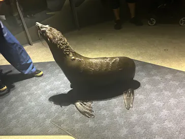 すみだ水族館に投稿された画像（2024/6/24）