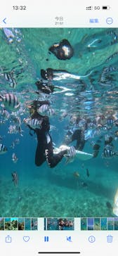 武藤潜水に投稿された画像（2024/6/24）