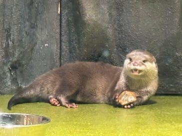 竹島水族館に投稿された画像（2024/6/24）
