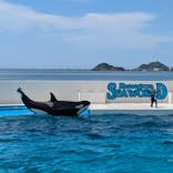 鴨川シーワールドに投稿された画像（2024/6/24）