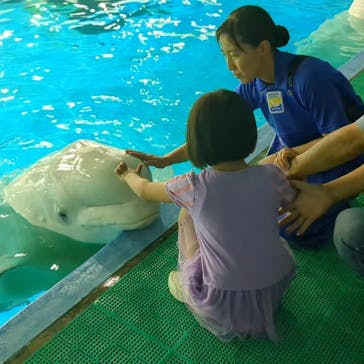 鴨川シーワールドに投稿された画像（2024/6/24）