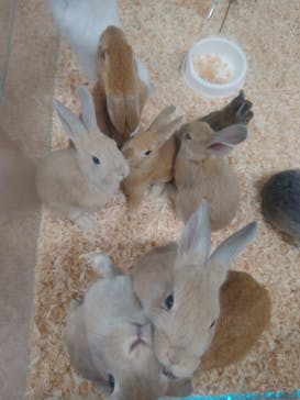 いきもの探検隊上尾に投稿された画像（2024/6/24）