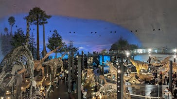 福井県立恐竜博物館に投稿された画像（2024/6/24）