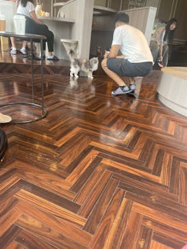 猫カフェモカ　渋谷センター街店に投稿された画像（2024/6/24）