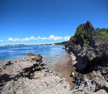 沖縄マリンサービス碧に投稿された画像（2024/6/24）