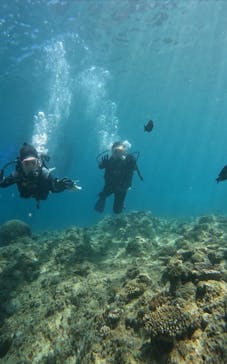 武藤潜水に投稿された画像（2024/6/24）