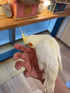 アニタッチ MARK IS 静岡に投稿された画像（2024/6/24）