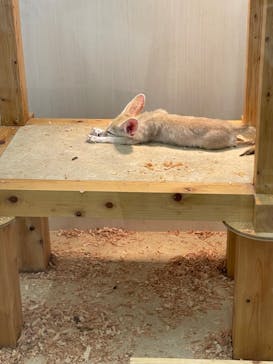 アニタッチ MARK IS 静岡に投稿された画像（2024/6/24）