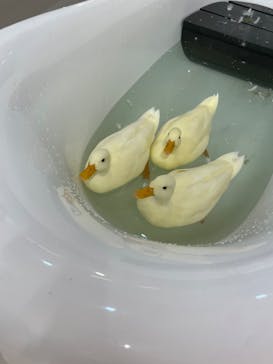 アニタッチ MARK IS 静岡に投稿された画像（2024/6/24）