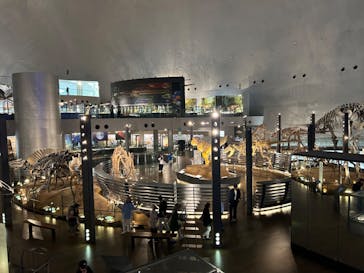 福井県立恐竜博物館に投稿された画像（2024/6/24）