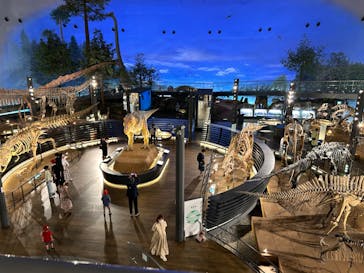 福井県立恐竜博物館に投稿された画像（2024/6/24）