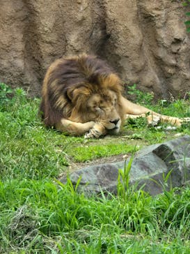 日立市かみね動物園に投稿された画像（2024/6/24）