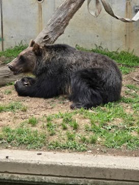 日立市かみね動物園に投稿された画像（2024/6/24）