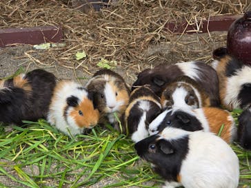 日立市かみね動物園に投稿された画像（2024/6/24）