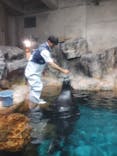 大分マリーンパレス水族館 「うみたまご」に投稿された画像（2024/6/24）