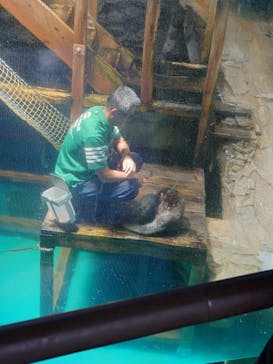 アクアワールド茨城県大洗水族館に投稿された画像（2024/6/24）
