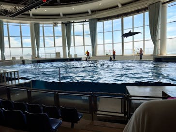 アクアワールド茨城県大洗水族館に投稿された画像（2024/6/24）
