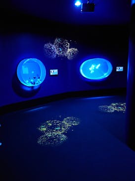 アクアワールド茨城県大洗水族館に投稿された画像（2024/6/24）