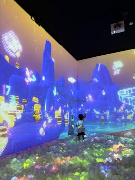 リトルプラネット ダイバーシティ東京 プラザに投稿された画像（2024/6/24）