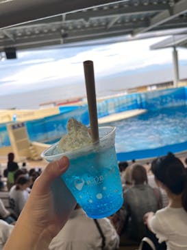 新江ノ島水族館に投稿された画像（2024/6/24）