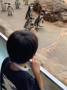 島根県立 しまね海洋館に投稿された画像（2024/6/24）