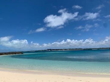 ダイビングショップ モーグルに投稿された画像（2024/6/24）