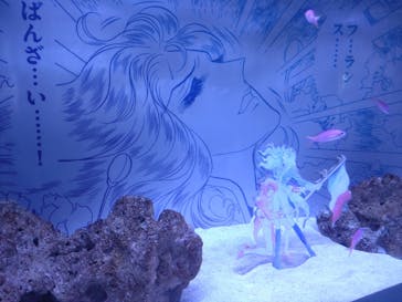 マクセル アクアパーク品川に投稿された画像（2024/6/24）