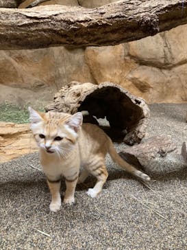 那須どうぶつ王国に投稿された画像（2024/6/24）