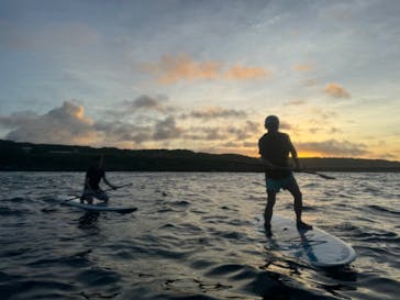 宮古島 ADVENTURE PiPi（ミヤコジマ アドベンチャー ピピ）に投稿された画像（2024/6/24）