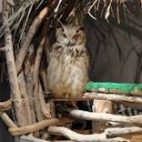 カワスイ 川崎⽔族館に投稿された画像（2024/6/24）