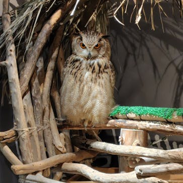 カワスイ 川崎⽔族館に投稿された画像（2024/6/24）