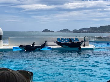 鴨川シーワールドに投稿された画像（2024/6/24）