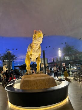 福井県立恐竜博物館に投稿された画像（2024/6/24）