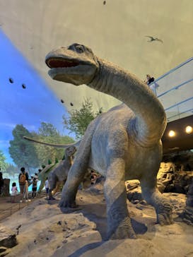 福井県立恐竜博物館に投稿された画像（2024/6/24）