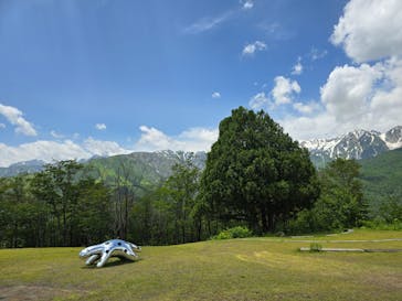 白馬岩岳マウンテンリゾートに投稿された画像（2024/6/24）