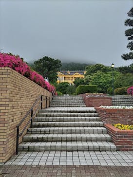 函館まちあるきガイドに投稿された画像（2024/6/24）