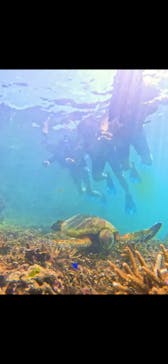 宮古島 ADVENTURE PiPi（ミヤコジマ アドベンチャー ピピ）に投稿された画像（2024/6/24）