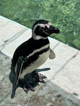 宇都宮動物園に投稿された画像（2024/6/24）