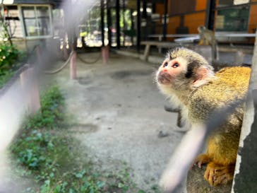 宇都宮動物園に投稿された画像（2024/6/24）