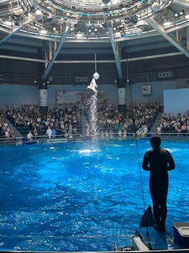 マクセル アクアパーク品川に投稿された画像（2024/6/24）