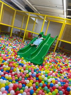 キッズランドUS 奈良香芝店に投稿された画像（2024/6/24）