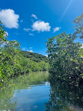 西表島 ADVENTURE PiPi（アドベンチャーピピ）に投稿された画像（2024/6/24）