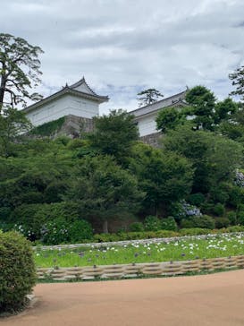 小田原城に投稿された画像（2024/6/24）