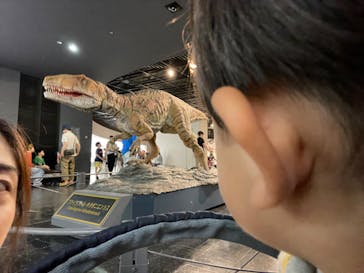 福井県立恐竜博物館に投稿された画像（2024/6/24）