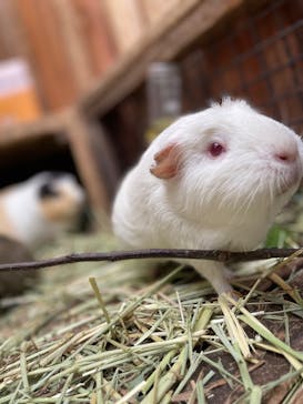 神戸どうぶつ王国に投稿された画像（2024/6/24）