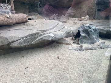 神戸どうぶつ王国に投稿された画像（2024/6/24）