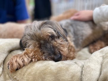 神戸どうぶつ王国に投稿された画像（2024/6/24）