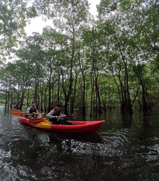 西表島 ADVENTURE PiPi（アドベンチャーピピ）に投稿された画像（2024/6/14）