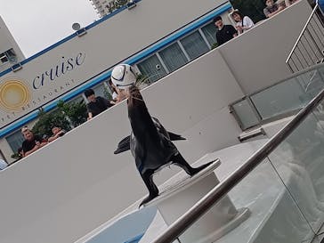 鴨川シーワールドに投稿された画像（2024/6/25）