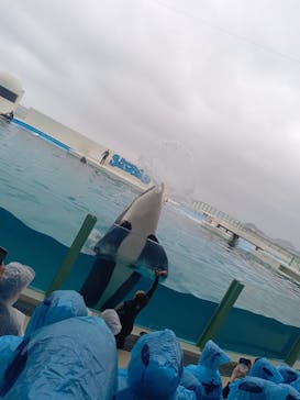 鴨川シーワールドに投稿された画像（2024/6/25）